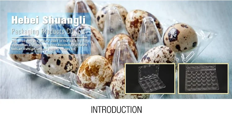 plastic quail egg tray