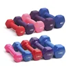 New Type New Style Colorful Bone Neoprene Dumbbell For Women Weights Home Gym Exercise
