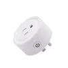 Amazon alexa/google home compatible remote control timing on/off 2.4G power socket smart plug wifi