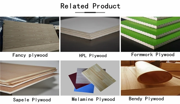 RELATED PRODUCT_.jpg