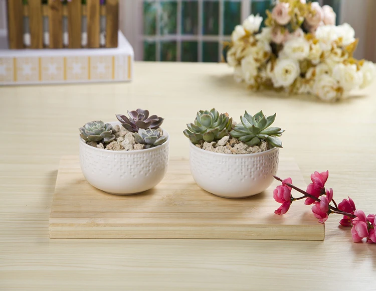 Ceramic Round Planter Pot Modern Indoor Plant Holder Flower Pots for plants