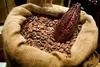 CACAO BEANS