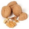 Healthy Nuts Food Raw Dried Walnut Kernels Light Halves