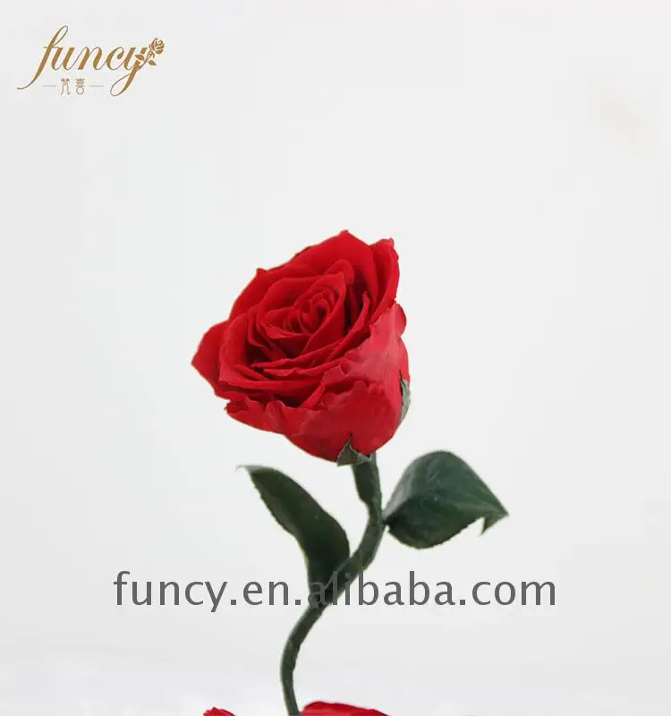 home decoration pieces