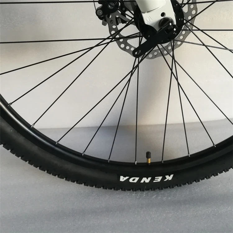 cycle new model cycle