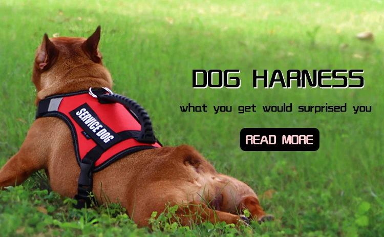 custom service dog harness