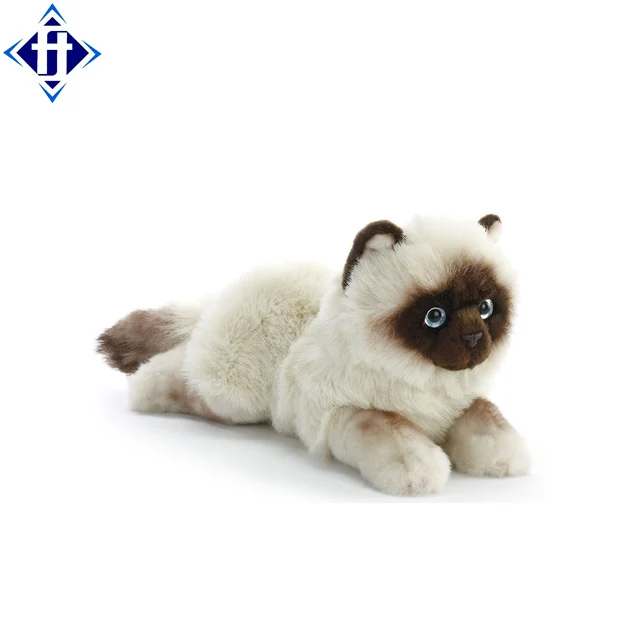 Peluche Siamois Idardarjisamaj Com