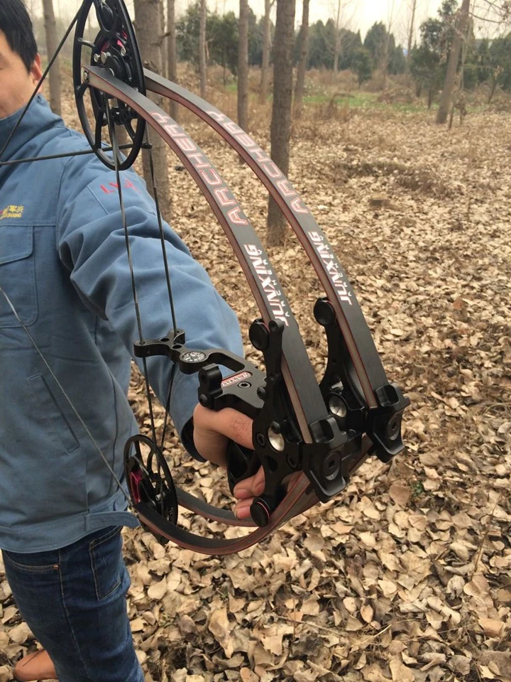 Compound Bow With Sports Cam Fiberglass Archery Bow Limbs For Grip