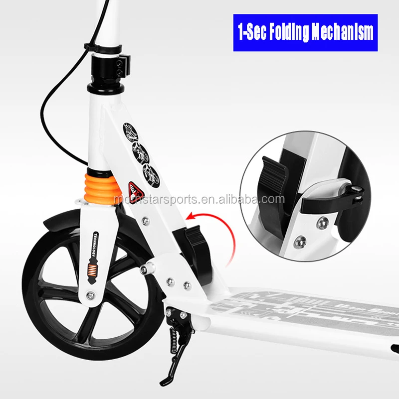 adult kick scooter (2).jpg