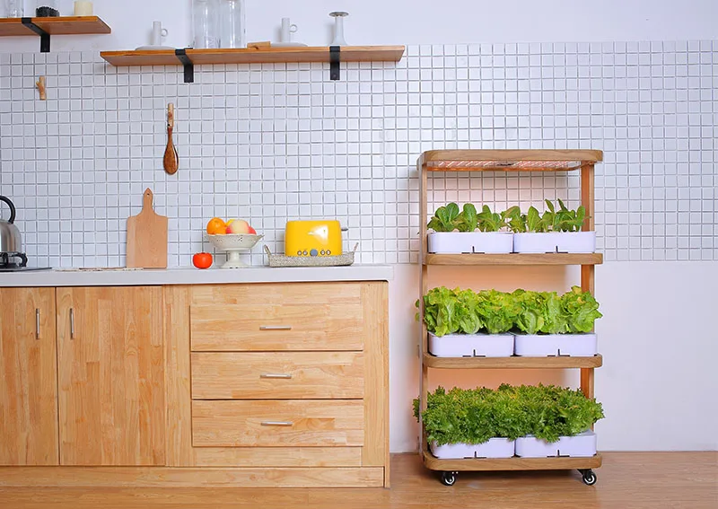 hydroponics farm grow systems