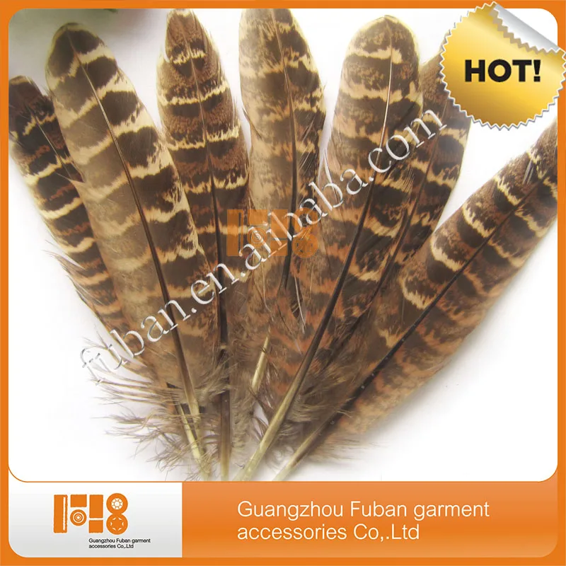 Wholesale Beautiful Natural Pheasant Feathers Buy Natural Turkey