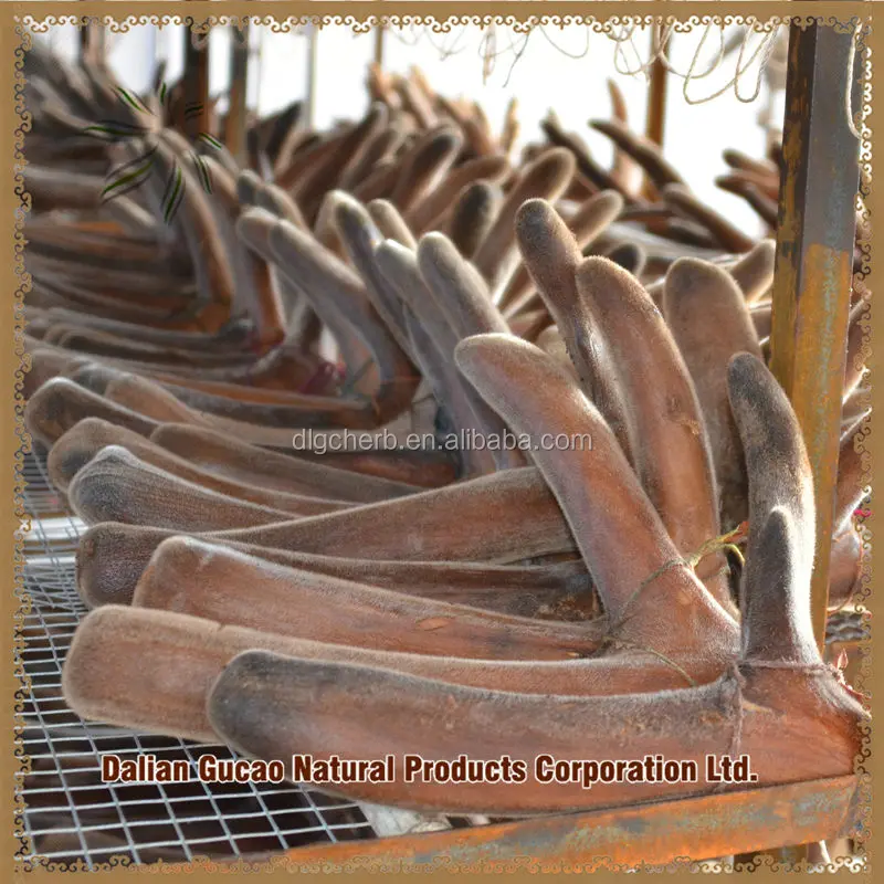 
Deer Velvet Antler 