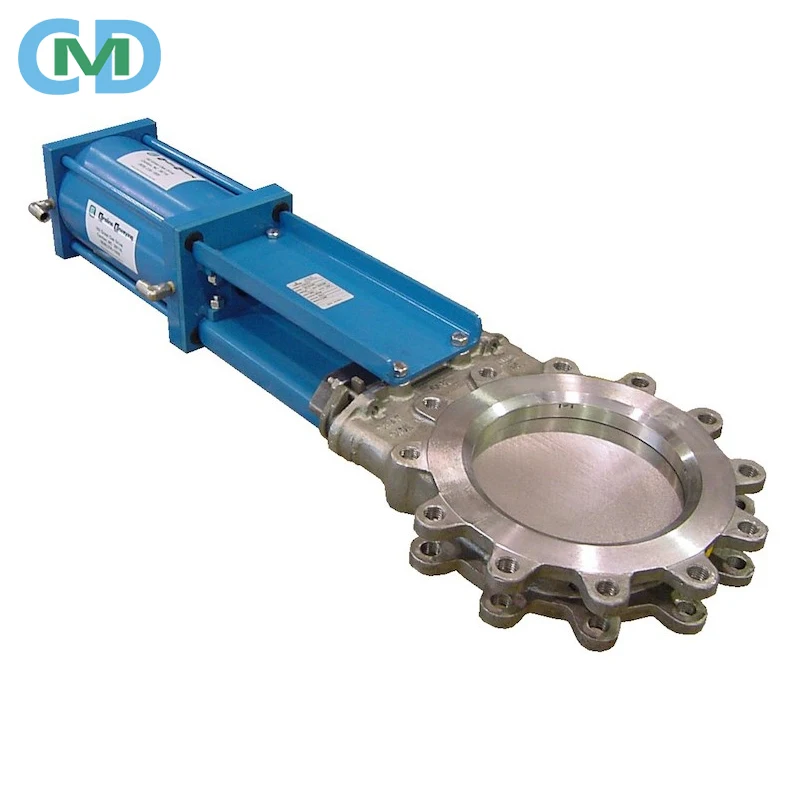 Pneumatic Slide 10" Inch Slide Knife Gate Valve - Buy Knife Gate Valve