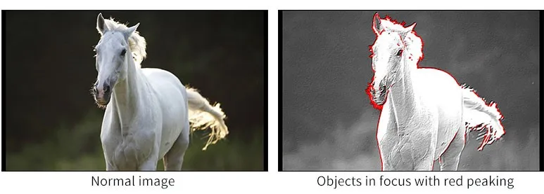 Peaking Focus Assist.jpg