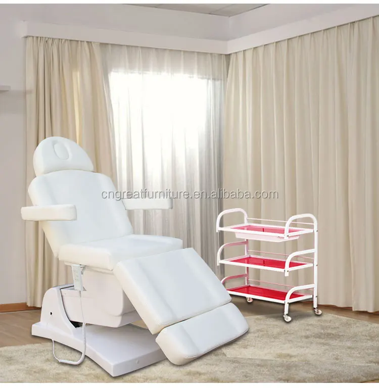Beauty Salon Massage Electric Spa Equipment Portable Tattoo Chair Facial Bed