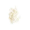 Hot sale stainless steel cast iron perlite price