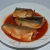 Canned food Canned Fish Canned Sardine/Tuna/Mackerel in tomato sucase/oil/brine 155G 425G