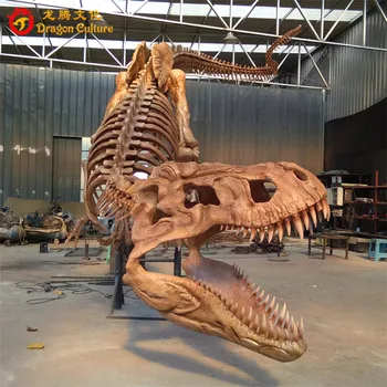 Customized Resin Dinosaur T Rex Life Size Skull Replica Big