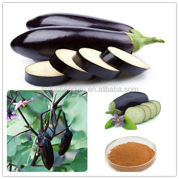 Eggplant Powder/dehydration Eggplant Powder/dried Eggplant Powder Buy