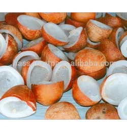 coconut copra from indonesia grade a