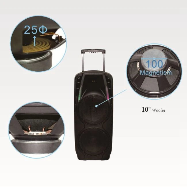 Double 10 Inch Subwoofer Speaker Powered Portable Trolley Speaker With