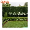 Plastic outdoor Nature green Garden decoration plants artificial boxwood hedge artificial hedge fence