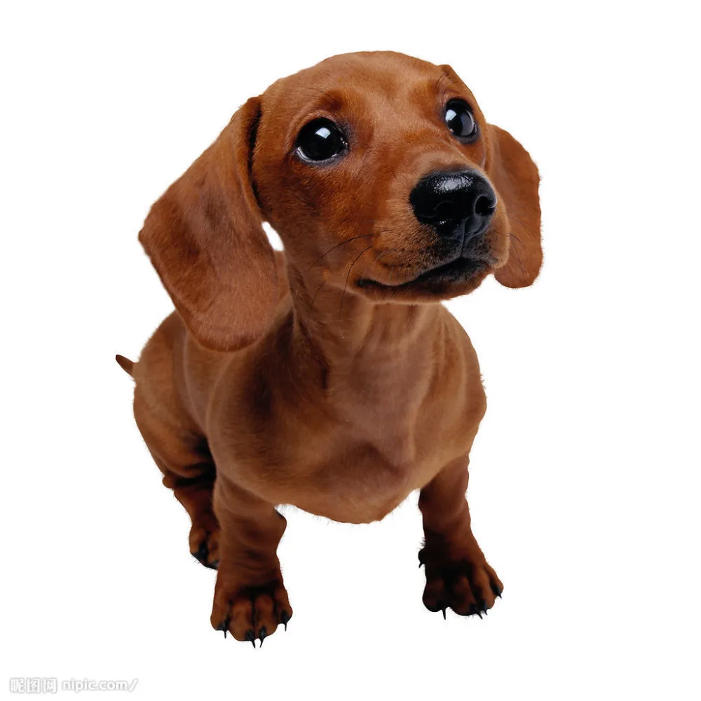 1320049565-522643007