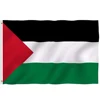 Hot wholese Palestinian Country Polyester Outdoor Banner 3X5ft 150*90cm International Day Celebration Palestine National Flag
