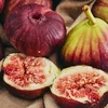 Carica Linn.Fruit Fig tree plant