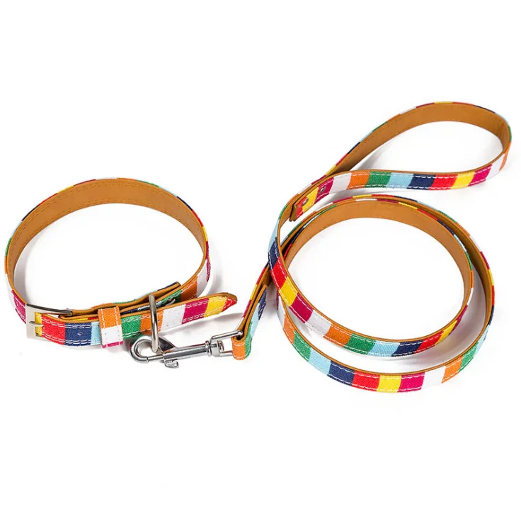 dog pet collar-3.png