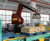 high speed pick and place robot and pallet stacking systems / robot palletizer