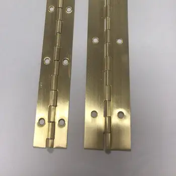 piano hinge door