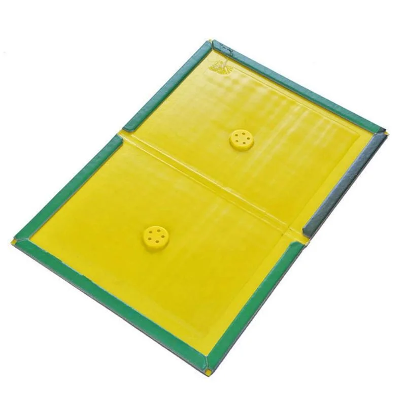 Rat Glue Trap