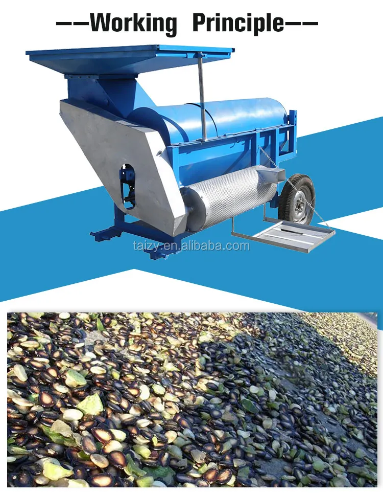 Pumpkin Seed Extract Harvesters Pumpkin Seed Watermelon Seed Removal