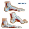 3 parts Realistic Normal/Flat/Bow Foot, human plastic Foot Model