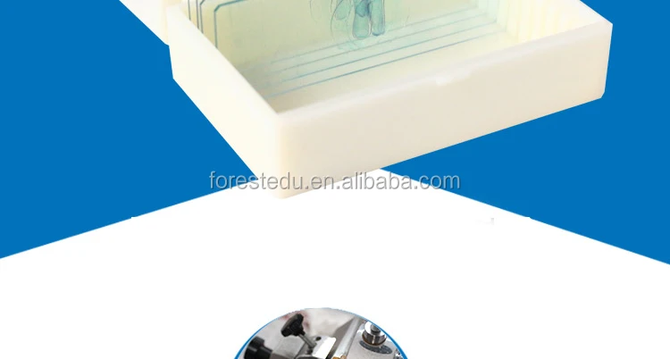 2 microscope slides 7101.jpg
