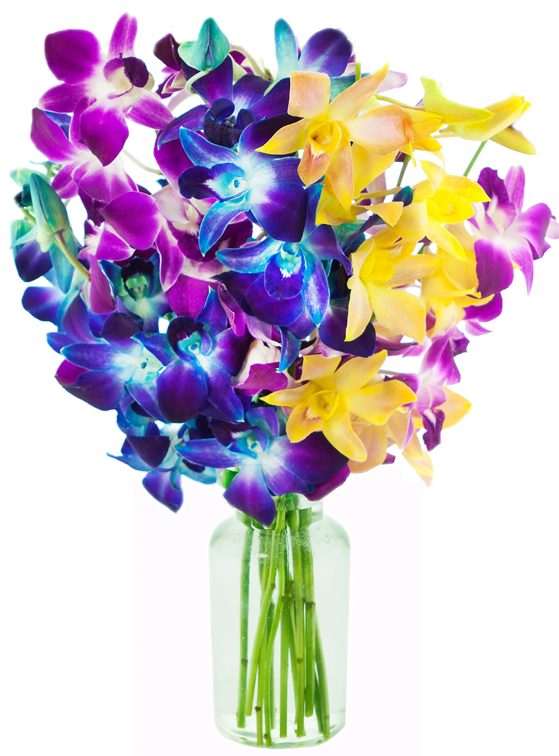 Buy Kabloom Exotic Rainbow Orchid Bouquet Of 5 Blue Dendrobium Orchids 3 Purple Dendrobium Orchids And 2 Yellow Dendrobium Orchids From Thailand With Vase In Cheap Price On M Alibaba Com