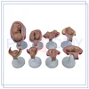 PNT-0600 high quality wholesale fetus development model for medical use