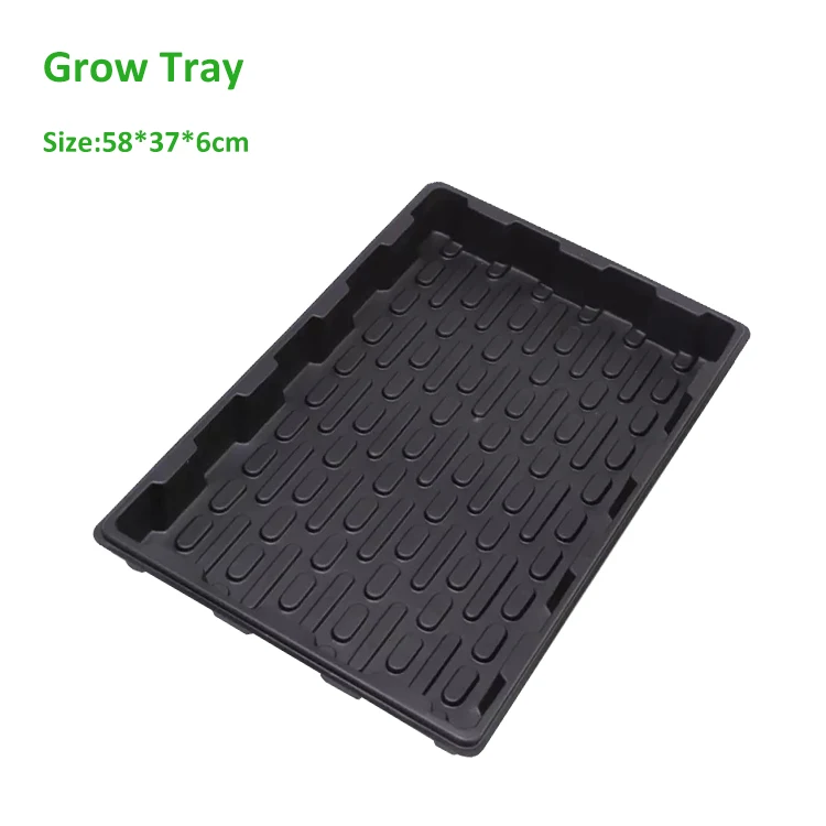 propagator8