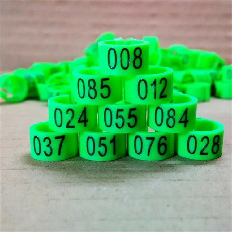 pigeon foot ring (11).jpg