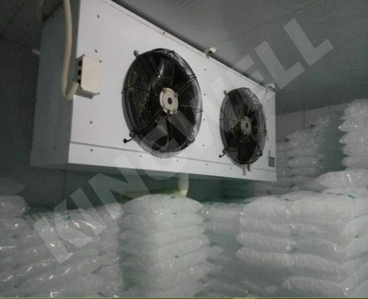 Ice storage room750.png