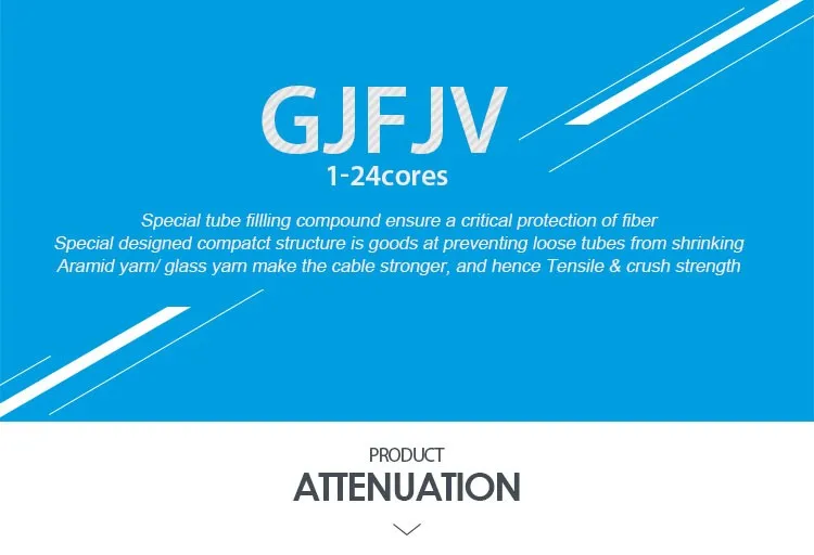 Indoor 2 core armoured fiber optic cable By 20 years factory Necero - ANKUX.COM