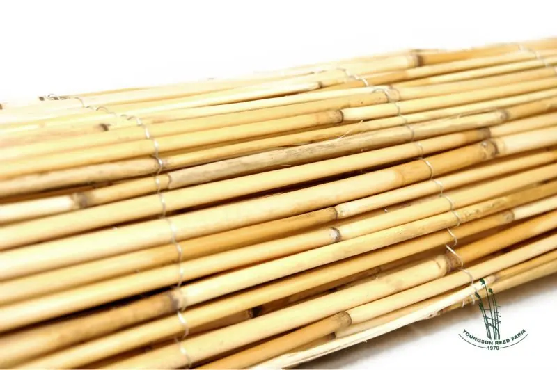 peeled reed-fence B.jpg