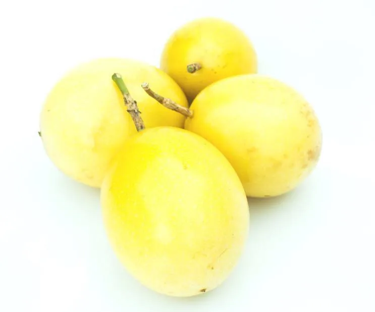 Farm Supply High Quality Tropical Yellow Fresh Passion Fruits For Sale
