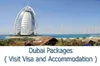 /product-detail/dubai-visit-visa-and-other-packages-101428166.html