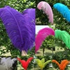 Fluffy Colorful Festival Stage Decor Ostrich feathers For Sale