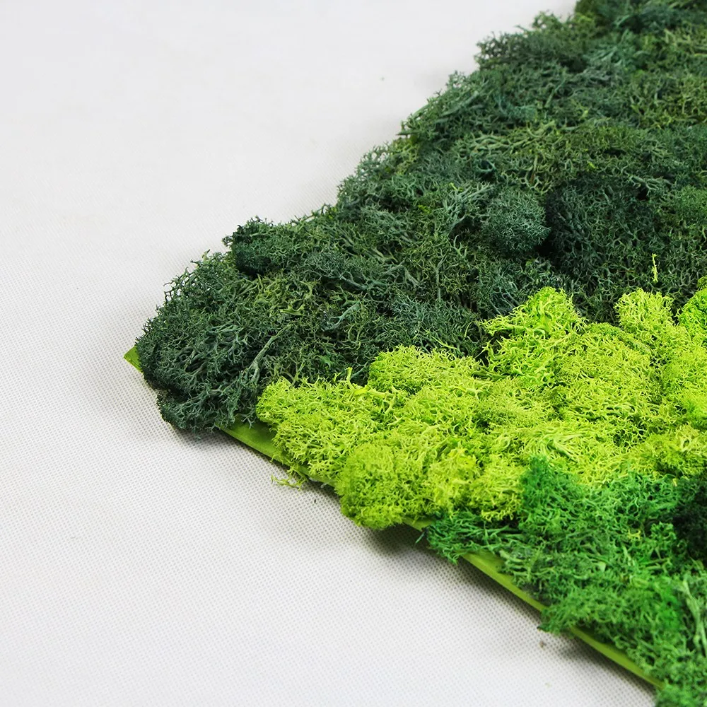 Cheap Decorative Garden Durable And Realistic Faux Plastic Green Moss Wall Buy Faux Moss