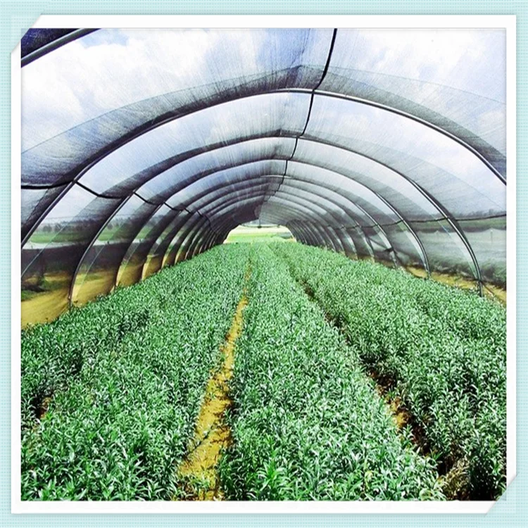 Pp Ground Cover / Woven Weed Mesh / Fabric Weed Control Barrier Mat