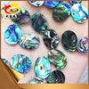 Professional sea shell cutter natural rainbow abalone MOP shell