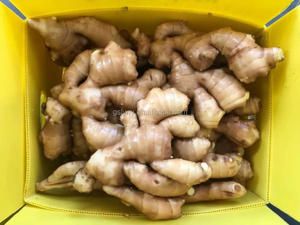 Chinese Ginger Buyers/fresh Ginger Dry Ginger Export Buy Fresh Ginger